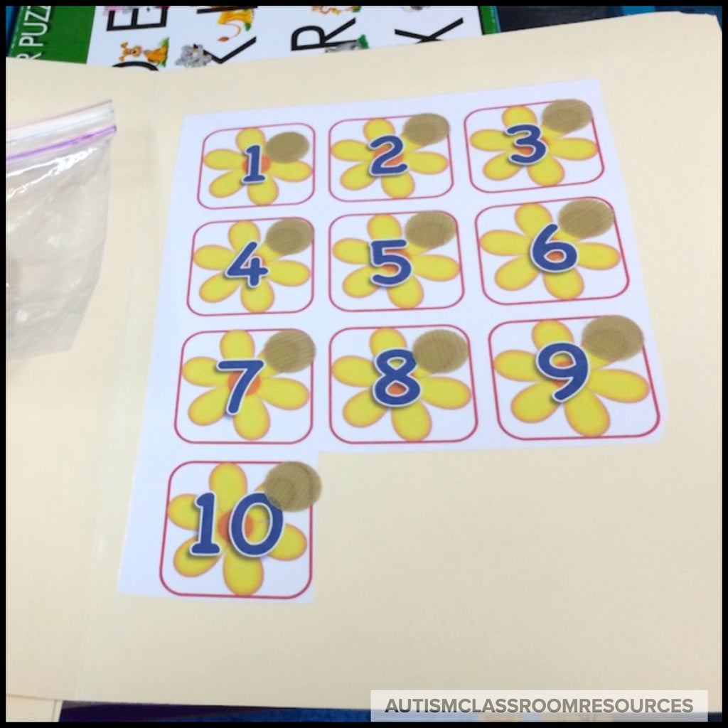 Spring Basic Skills File Folder Activities: Flower Letters, Numbers and Colors - Autism Classroom Resources