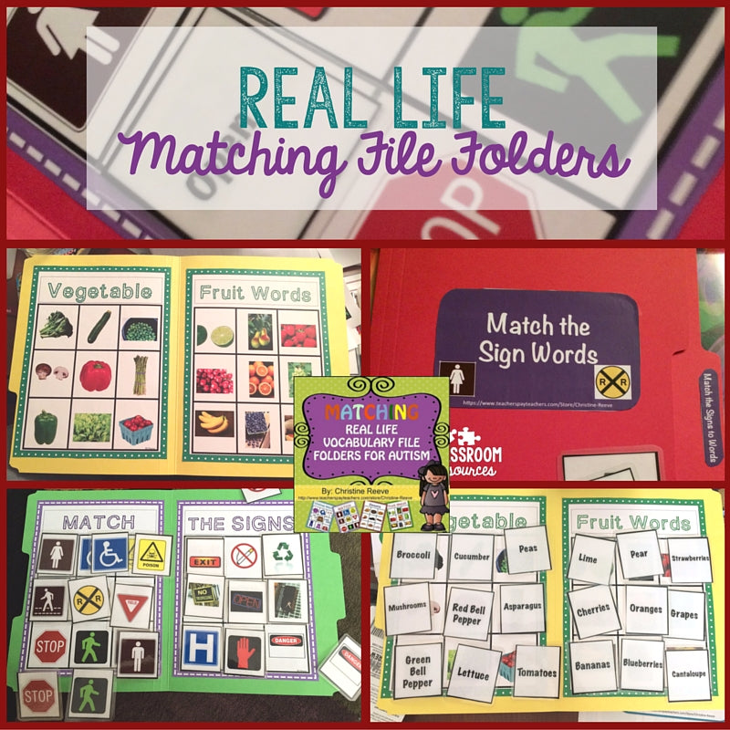 REAL LIFE PHOTOGRAPHIC MATCHING FILE FOLDERS - Autism Classroom Resources
