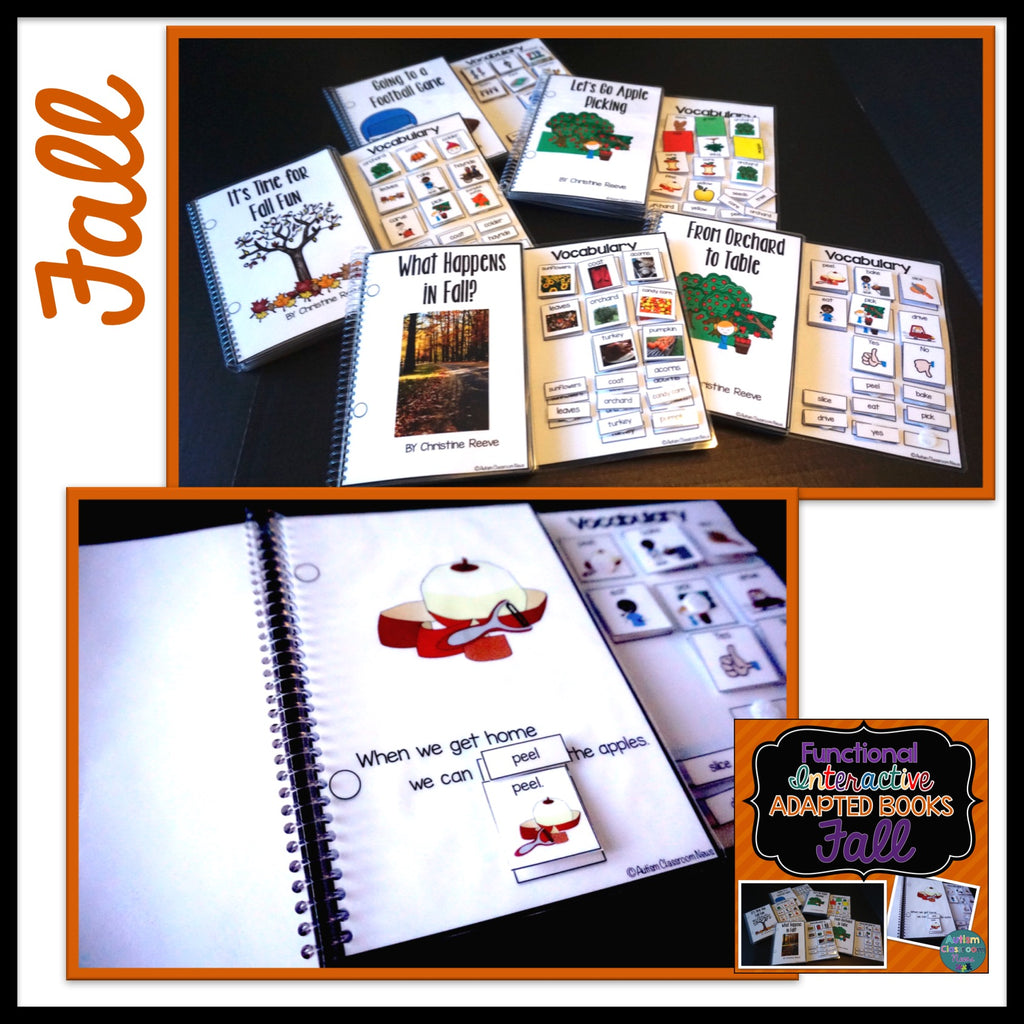 Seasons BUNDLE: Functional Adapted Interactive Books for 4 Seasons - Autism Classroom Resources
