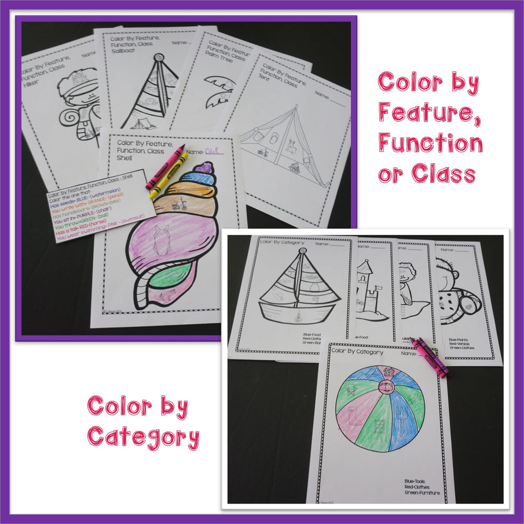 Autism Receptive Vocabulary Activities for SUMMER: Feature Function Class - Autism Classroom Resources