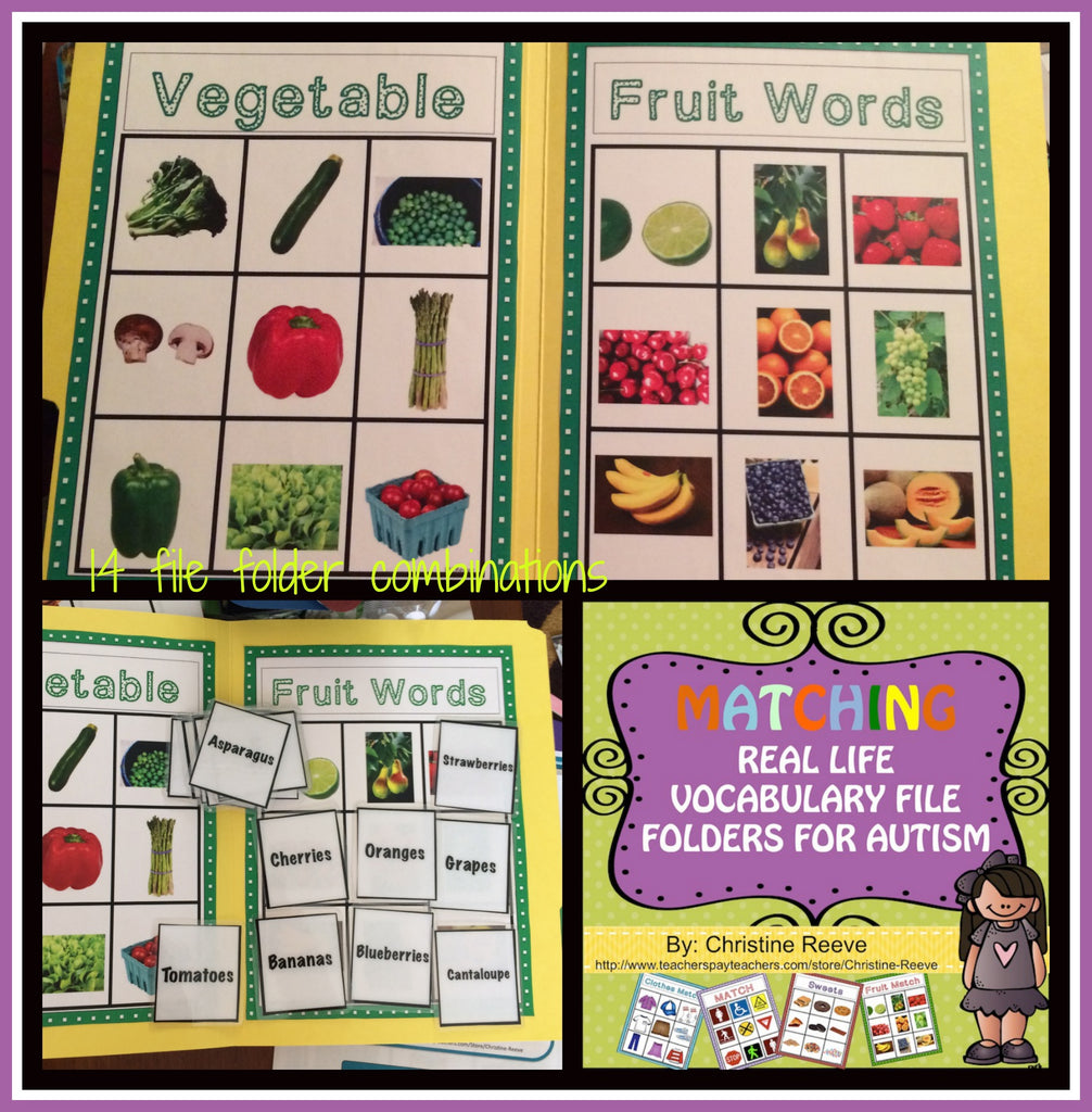 REAL LIFE PHOTOGRAPHIC MATCHING FILE FOLDERS - Autism Classroom Resources